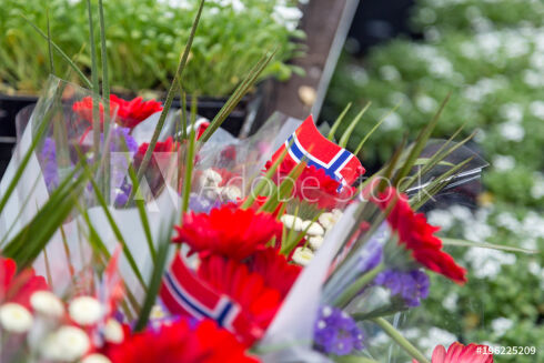 Hva skal folk på 17. mai?
