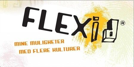 FLEXid er et kurs for flerkulturelle ungdommer. Foto: FLEXid