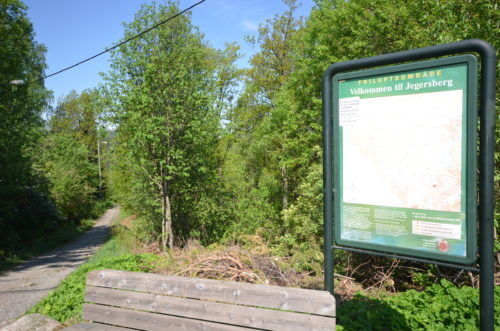 Stor skogbrannfare