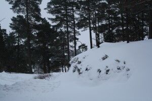 Kald vinter: Det har vært temperaturer på godt under minus 10 grader i Kristansand denne vinteren. Foto: Henning Torp