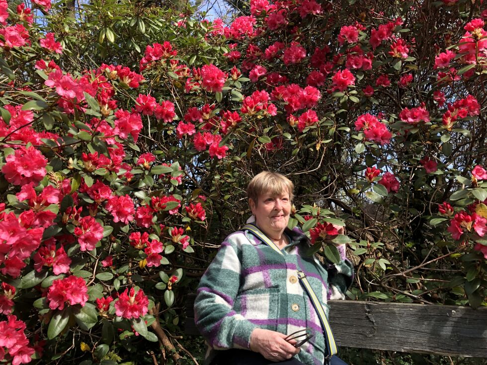 Heldigvis er ikke Kari allergisk mot rododendron
 Foto: Christopher Rubecksen