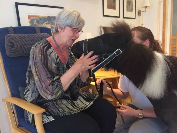 Bringer glede til sykehjem