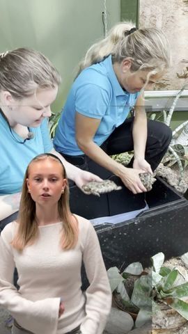Maria Tårnesvik viser de nye beboerne i dyreparken