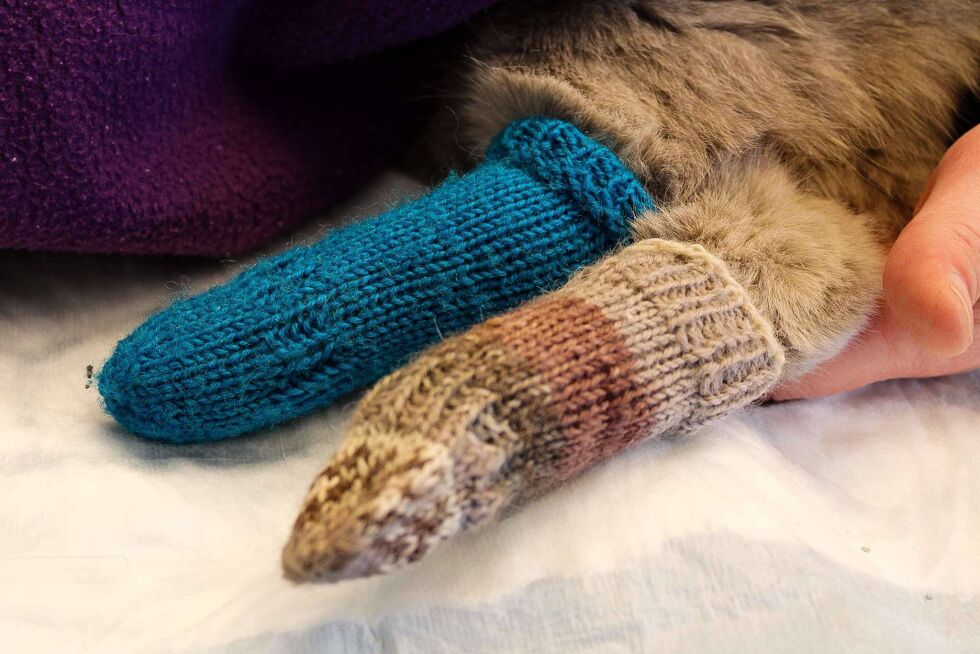 Klinikken får inn sokkar i mange fargar og fasongar.
 Foto: Madeleine Hamn