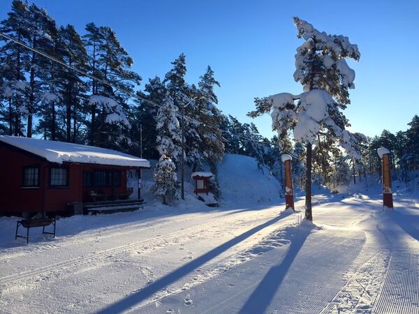 – Det kan ikke bli bedre forhold