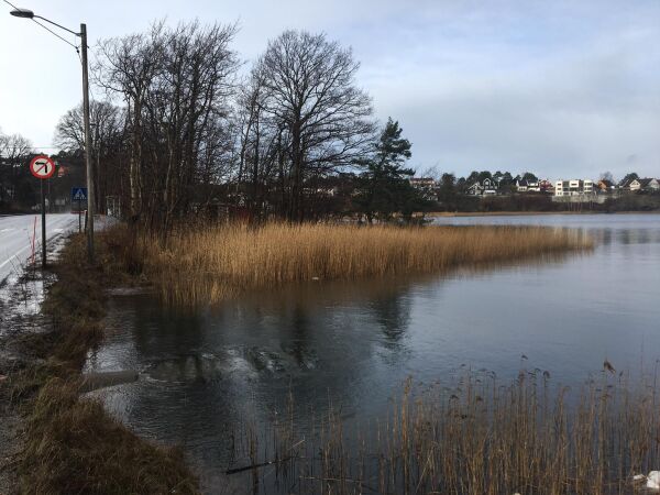 Forberedt på uværet Elsa