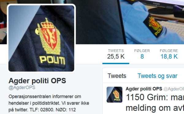 Mann arrestert på Grim