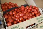 Her selger de norske tomater.