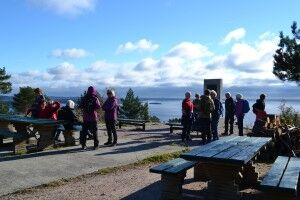 Turistforeningen: Utsikten er upåklagelig på toppen av Viljebakken. Foto: Henrik Samuel Hansen
