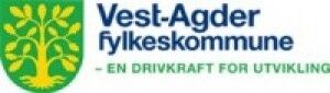 Vil streame fylkespolitikken