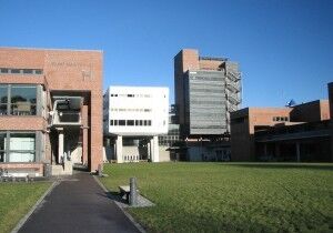 Flere kvinnelige studenter ved UiA