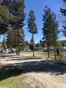 Flere campingvogner og hytter på campingplassen. Foto: privat
