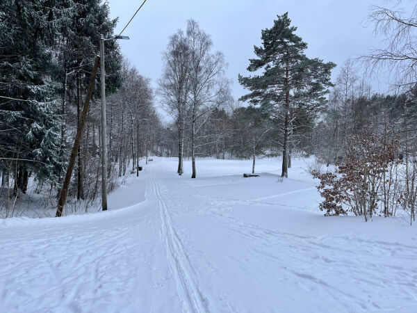 Vinterfeber på sørlandet