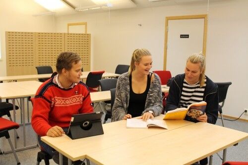 Lærerstudentene Tommy Breiland, Camilla Andås og Marianne Pettersen ønsker religionsforståelse for å bli bedre lærere. Foto: Sigrid Nese.