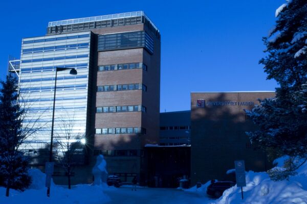Flere studenter reiser på utveksling