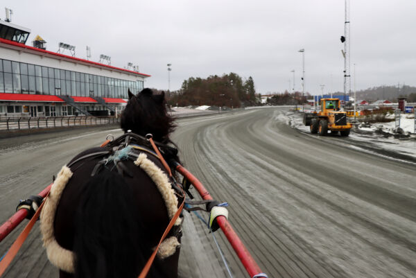 Travbanen er hjemmet til flere hester, som gjerne står på stallene til for eksempel team Tjomsland eller team Berås.
 Foto: Marie Thue Humborstad