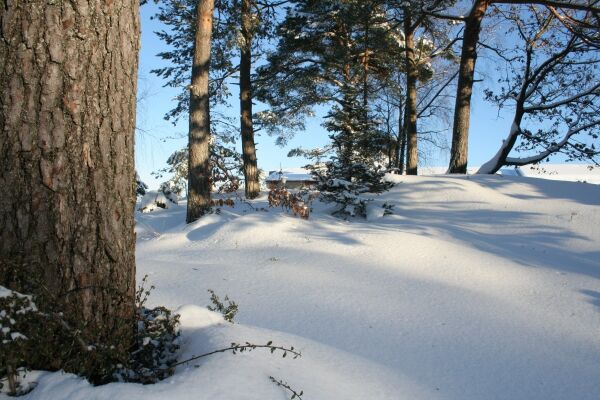 Kan bli hele 20 grader varmere