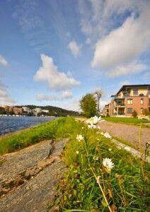 SOL: Det er meldt sol i skolens høstferie neste uke. FOTO: Hanne Kristin Pedersen