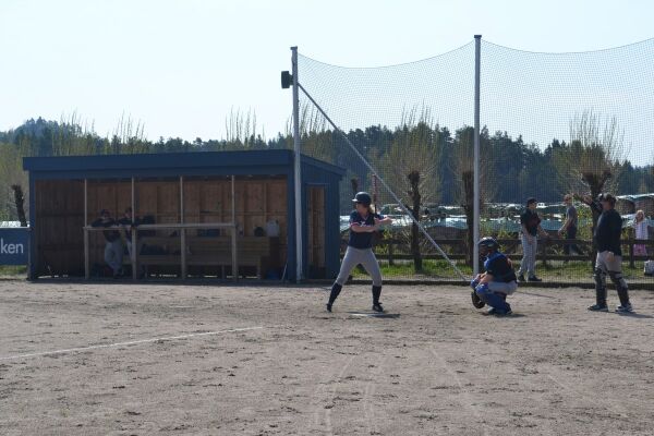 Baseball, grillmat, musikk og sol