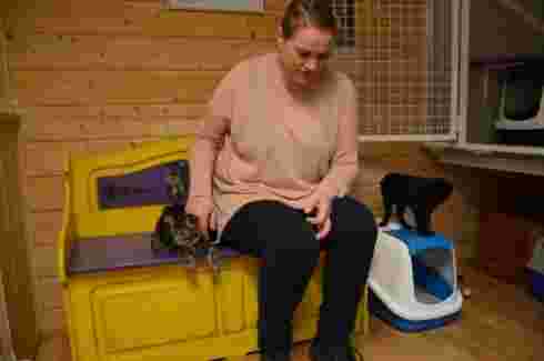 Frivillig hos Dyrenes beskytter, Lene Figve, koser med kattene. FOTO: Cathrine H. Wroldsen