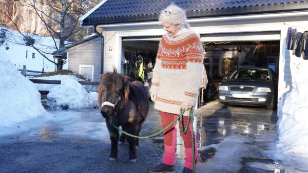 Vil gå til Tyskland med miniatyrhesten