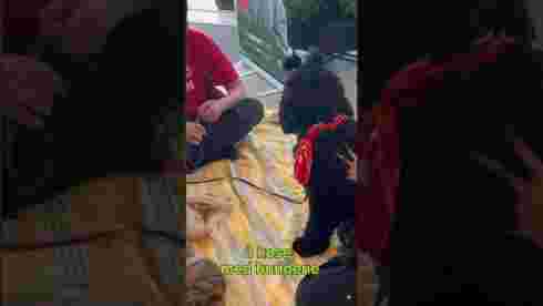 Hundekosdager