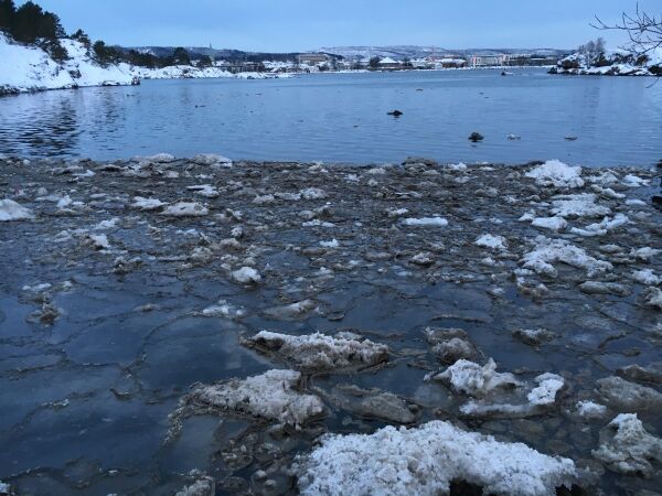 Brøytesnøen forurenser historisk naturperle