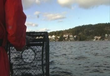 - Meld fra om ulovlig hummerfiske