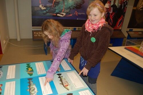 Nora Tolfsen og Vanessa Nilsen har lært mye om fisk i løpet av dagen.