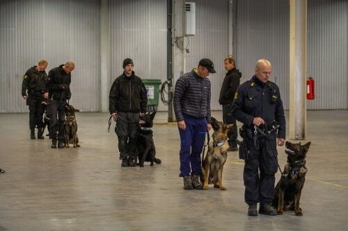 Noen av hundeførerne i Telemark. Alle har god kontroll på lydigheten.