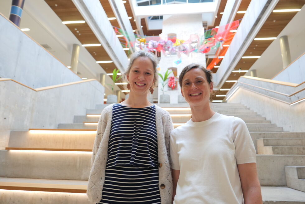 Christina Rasmussen og Gisela Nilsen ledet idédugnaden
 Foto: Sander Authen