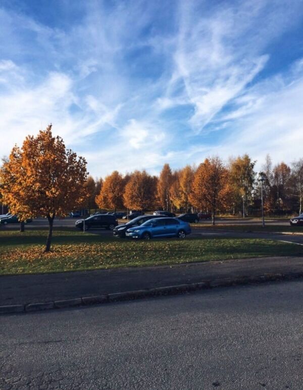 Økt trafikk i skogen