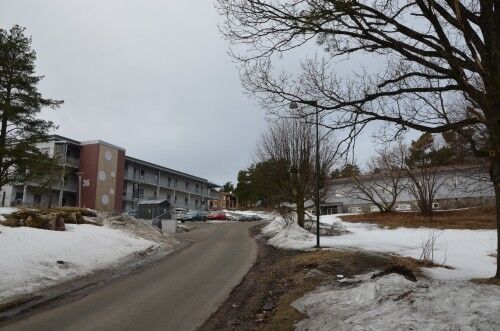 Gimle studentby mangler boliger til studenter (Foto: Aleksander Hømanberg)