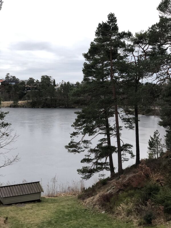 Lommetørklærne må frem, pollensesongen starter