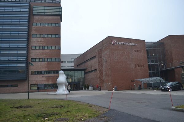 Økning i valgoppslutningen på UiA