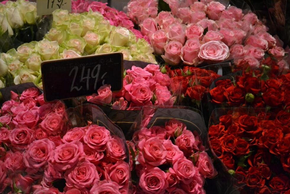 Prisene på roser blir juster opp når etterspørselen øker. Foto: Irene Kjetland