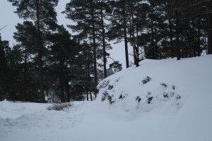 Iskald februar
