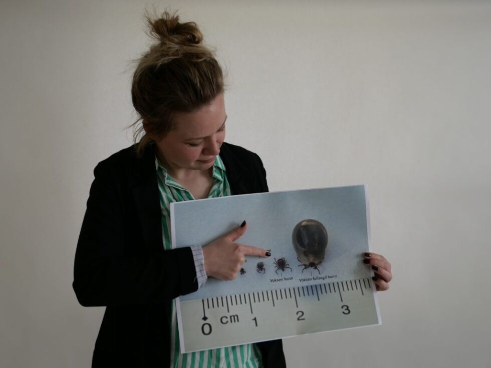 Biolog Yvonne Karlefsen viser flåttens utvikling. Foto: Rebecca Egeland