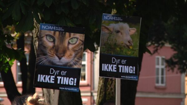 - Dyr blir ikkje teke på alvor