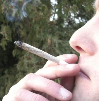 Cannabis kan gi livsvarige skader