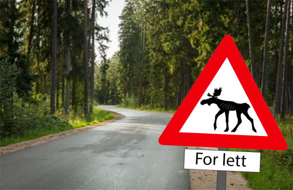 Står dårlig til med elg i Agder
