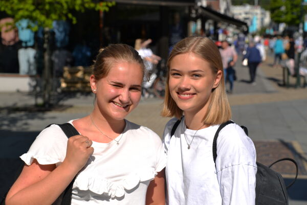 Dette forbinder sørlendingene med 17. mai