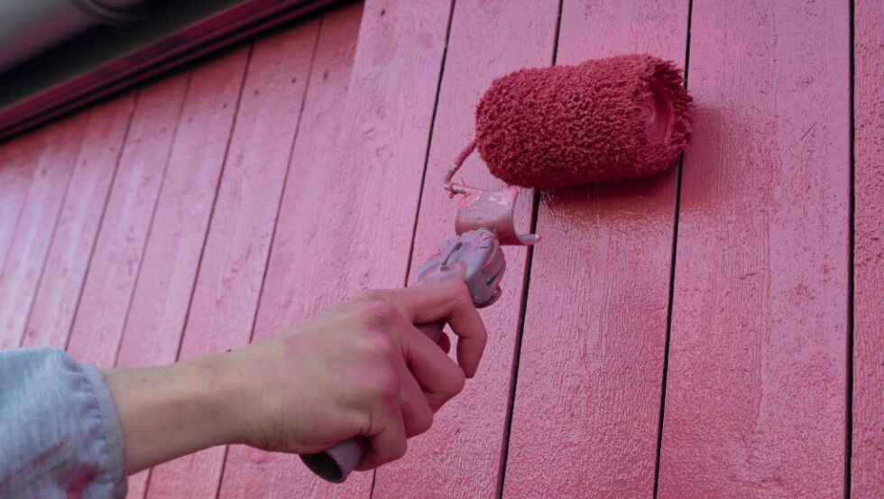 Nymalt rosa-maling på isbaren (Foto: Malin Heggebø Rolfsen)