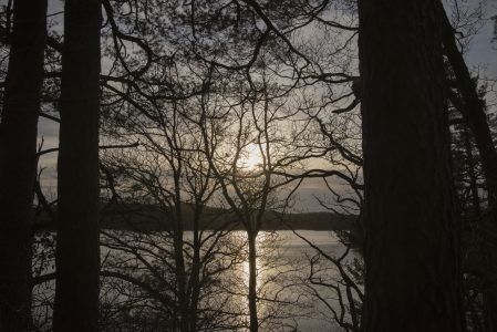 Sola titter frem mellom trærne i turstiene ved Sukkevann. Foto: Håvard Storsæter.