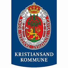 IT-problemer for kommunen