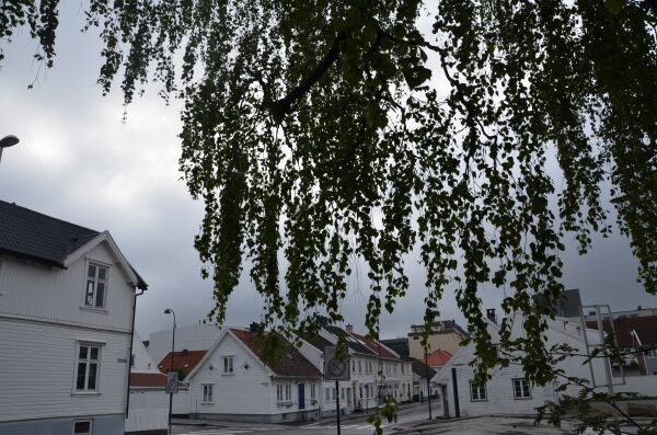 Allergikerne jubler over regnværet