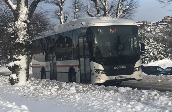 Ungdom verdsetter nye busspriser