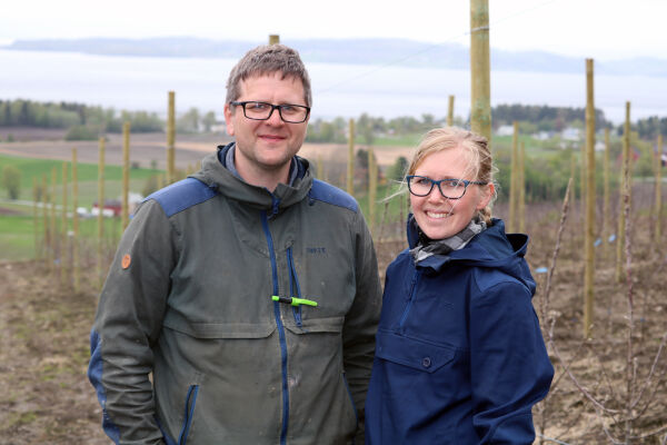 Verdens nordligste intensive eplefarm!