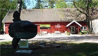 Blomstrende økning