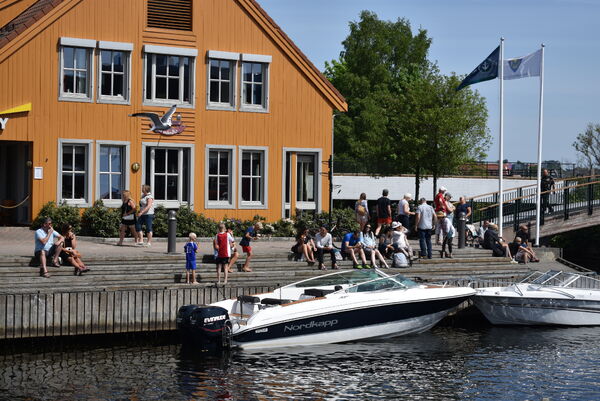 Isorama i pinsen